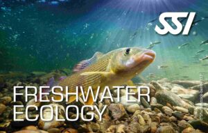 Süßwasser ecology